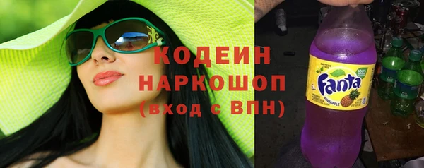 трава Осинники