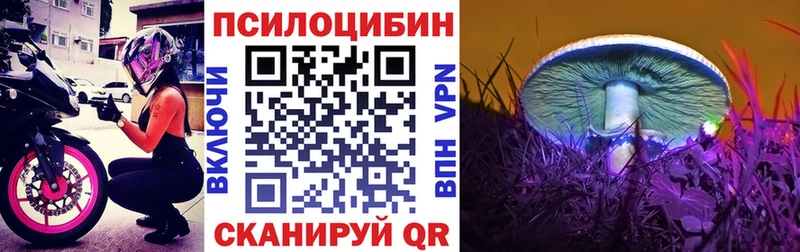 купить наркоту Энем Галлюциногенные грибы мицелий