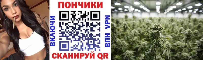 Конопля индика Энем