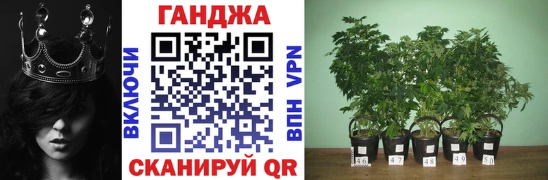Конопля тримм  Энем 